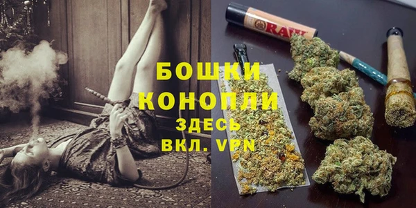 гидропоника Рославль