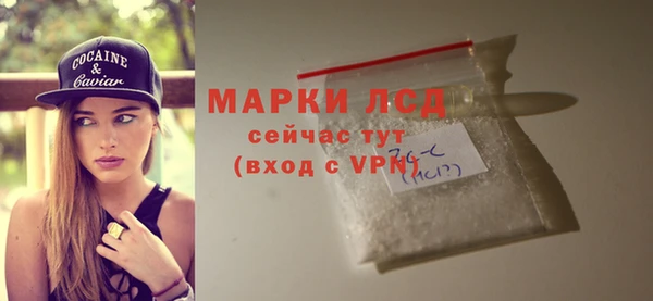 СК Богородск