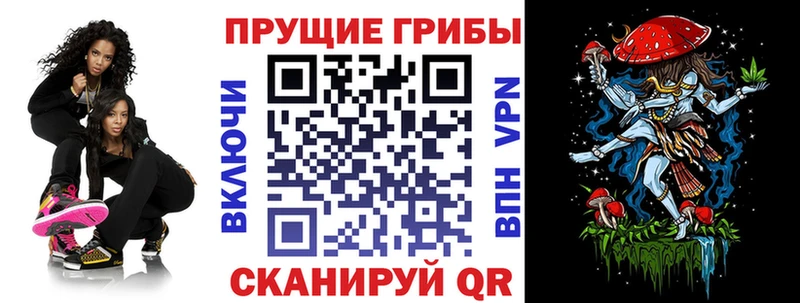 купить наркотики сайты  Мураши  гидра как войти  Псилоцибиновые грибы Magic Shrooms 